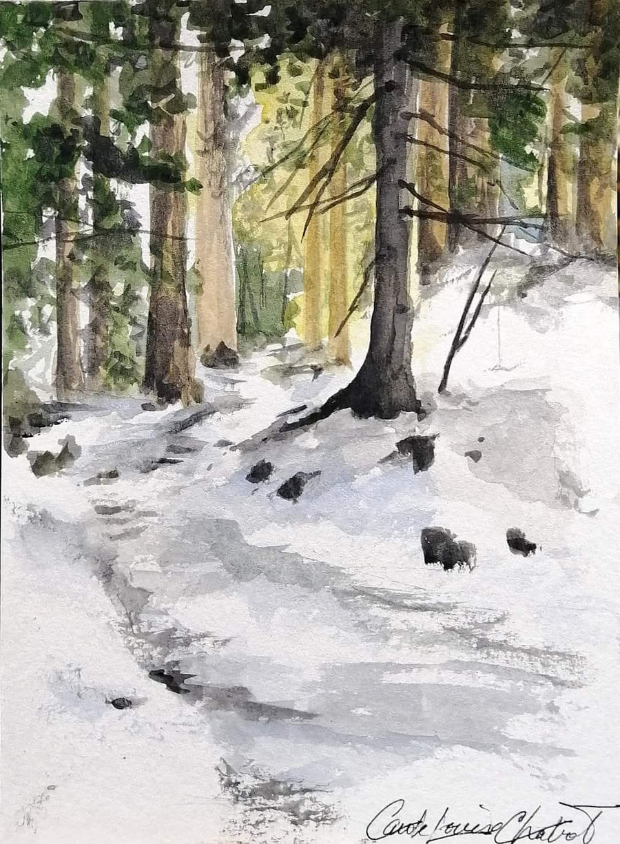 Atelier encre et aquarelle 13 novembre